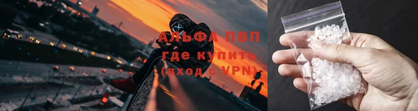 сатива Пестово
