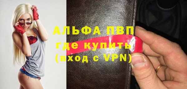 соль ск Пересвет