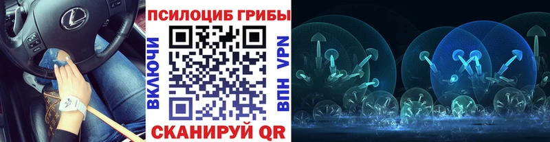 Галлюциногенные грибы прущие грибы  kraken как войти  Козельск 